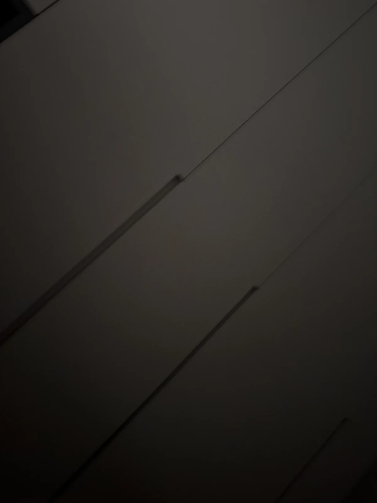 艺人照片